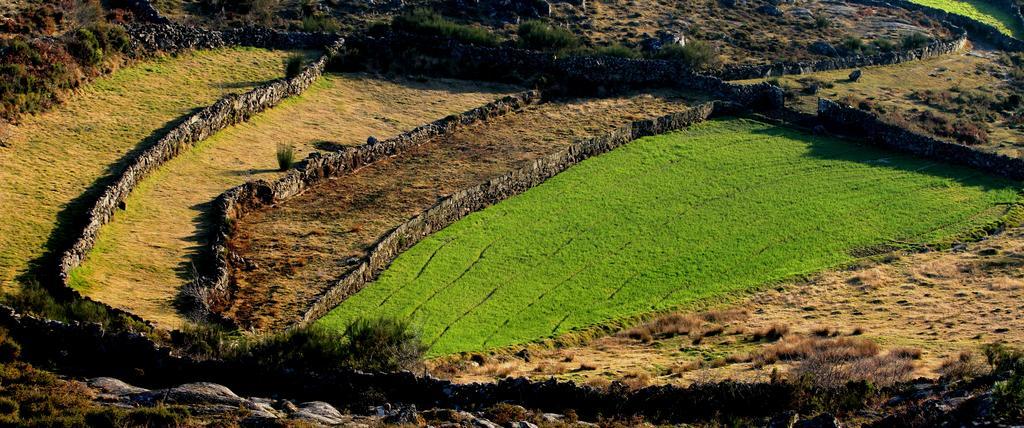 Quinta De Gildinho Villa Dış mekan fotoğraf