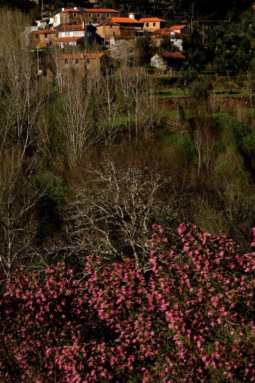 Quinta De Gildinho Villa Dış mekan fotoğraf